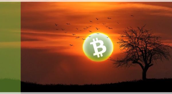 Bitcoin Cash Kurs Analye